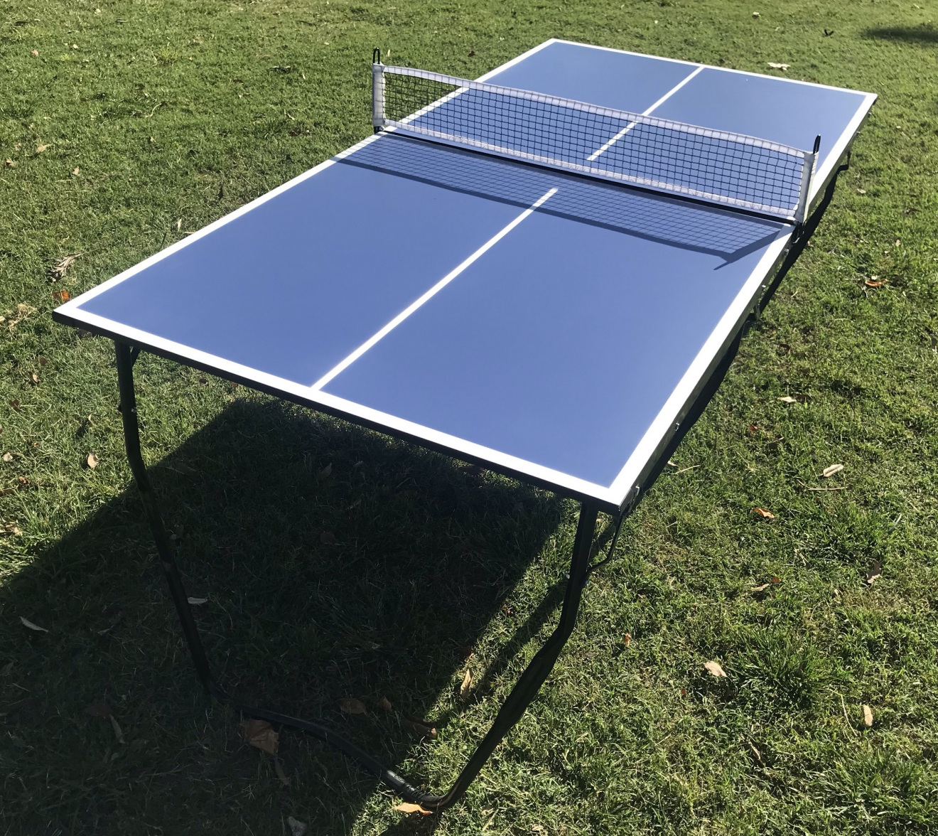 Mini Mesa de Ping Pong –